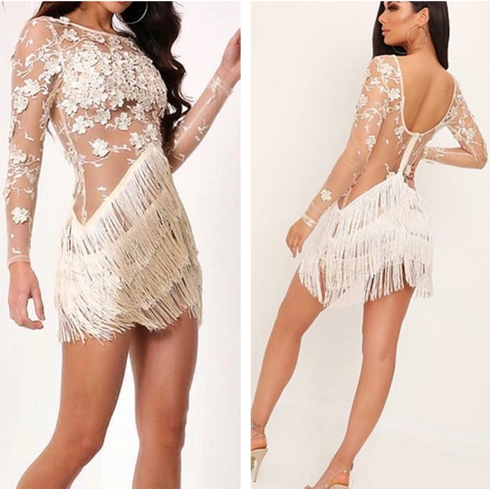 NUDE FRINGE MESH & APPLIQUE MIX DRESS